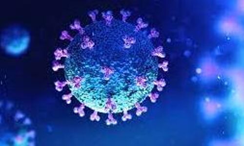 വയനാട്ടില് 247 പേര്ക്ക് കൂടി കൊവിഡ്; ടെസ്റ്റ് പോസിറ്റിവിറ്റി റേറ്റ് 7.20 വയനാട്ടില് 247 പേര്ക്ക് കൂടി കൊവിഡ്; ടെസ്റ്റ് പോസിറ്റിവിറ്റി റേറ്റ് 7.20