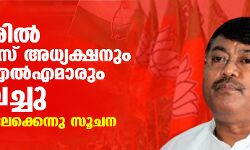 മണിപ്പൂരില്‍ കോണ്‍ഗ്രസ് അധ്യക്ഷനും എട്ട് എംഎല്‍എമാരും രാജിവച്ചു; ബിജെപിയിലേക്കെന്നു സൂചന
