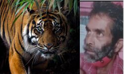 เดฎเตเดคเตเดฎเดฒเดฏเดฟเดฒเตโ เดเดเตเดตเดฏเตเดเต เดเดเตเดฐเดฎเดฃเดคเตเดคเดฟเดฒเตโ เดเดฐเตโเดทเดเดจเตโ เดเตเดฒเตเดฒเดชเตเดชเตเดเตเดเต; เดจเดพเดเตเดเตเดเดพเดฐเตเด เดตเดจเด เดตเดเตเดชเตเดชเต เดเดฆเตเดฏเตเดพเดเดธเตเดฅเดฐเตเด เดคเดฎเตเดฎเดฟเดฒเตโ เดธเดเดเดฐเตโเดทเด เดฎเตเดคเตเดฎเดฒเดฏเดฟเดฒเตโ เดเดเตเดตเดฏเตเดเต เดเดเตเดฐเดฎเดฃเดคเตเดคเดฟเดฒเตโ เดเดฐเตโเดทเดเดจเตโ เดเตเดฒเตเดฒเดชเตเดชเตเดเตเดเต; เดจเดพเดเตเดเตเดเดพเดฐเตเด เดตเดจเด เดตเดเตเดชเตเดชเต เดเดฆเตเดฏเตเดพเดเดธเตเดฅเดฐเตเด เดคเดฎเตเดฎเดฟเดฒเตโ เดธเดเดเดฐเตโเดทเด