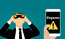 മൗലികാവകാശങ്ങളെ ഹനിക്കുന്ന ഡിജിറ്റല് അധിനിവേശത്തെ പരാജയപ്പെടുത്തുക: ജനകീയ മനുഷ്യാവകാശ പ്രസ്ഥാനം മൗലികാവകാശങ്ങളെ ഹനിക്കുന്ന ഡിജിറ്റല് അധിനിവേശത്തെ പരാജയപ്പെടുത്തുക: ജനകീയ മനുഷ്യാവകാശ പ്രസ്ഥാനം