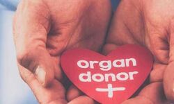 അവയവദാനം: കൊവിഡ് സാഹചര്യത്തില്‍ കാലതാമസം ഒഴിവാക്കാന്‍ നടപടി