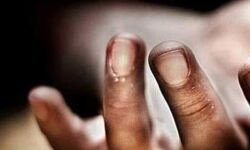 ക്വാറികുളത്തില് മരിച്ച നിലയില് കണ്ടെത്തിയത് മേപ്പാടിയില് നിന്ന് കാണാതായ യുവതി ക്വാറികുളത്തില് മരിച്ച നിലയില് കണ്ടെത്തിയത് മേപ്പാടിയില് നിന്ന് കാണാതായ യുവതി