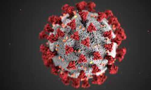 കോഴിക്കോട് ജില്ലയില്‍ 1689 പേര്‍ക്ക് കൊവിഡ്;  രോഗമുക്തി 1493, ടിപിആര്‍ 13.72 %