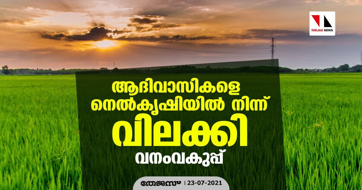 ആദിവാസികളെ നെല്‍കൃഷിയില്‍ നിന്ന് വിലക്കി വനംവകുപ്പ്