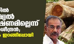 മരംമുറിയിൽ ജുഡീഷ്യൽ അന്വേഷണമില്ലെന്ന് എ കെ ശശീന്ദ്രൻ; പ്രതിപക്ഷം ഇറങ്ങിപ്പോയി