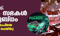 പെഗാസസ്: ഇന്നും സഭകൾ പ്രക്ഷുബ്‌ധം; തൃണമൂൽ എം‌പിയെ സസ്‌പെൻഡ് ചെയ്‌തു