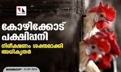 കോഴിക്കോട് പക്ഷിപ്പനി; നിരീക്ഷണം ശക്തമാക്കി അധികൃതർ