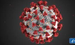 കോഴിക്കോട് ജില്ലയില്‍ 1870 പേര്‍ക്ക് കൊവിഡ്; രോഗമുക്തി 780, ടി.പി.ആര്‍ 15.76%