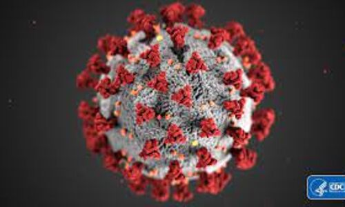 ഇടുക്കി ജില്ലയില് 226 പേര്ക്ക് കൂടി കൊവിഡ്; ടിപിആര് 7.54% ഇടുക്കി ജില്ലയില് 226 പേര്ക്ക് കൂടി കൊവിഡ്; ടിപിആര് 7.54%