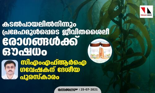 കടല്പായലില്നിന്നും പ്രമേഹമുള്പ്പെടെ ജീവിതശൈലീ രോഗങ്ങള്ക്ക് ഔഷധം; സിഎംഎഫ്ആര്ഐ ഗവേഷകന് ദേശീയ പുരസ്കാരം കടല്പായലില്നിന്നും പ്രമേഹമുള്പ്പെടെ ജീവിതശൈലീ രോഗങ്ങള്ക്ക് ഔഷധം; സിഎംഎഫ്ആര്ഐ ഗവേഷകന് ദേശീയ പുരസ്കാരം