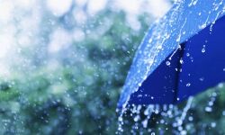 ശക്തമായ മഴക്ക് സാധ്യത; ആറു ജില്ലകളില്‍ യെല്ലോ അലേര്‍ട്ട്