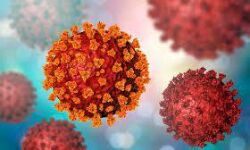 เดชเดพเดฒเดเตเดเดพเดเต เดเดฟเดฒเตเดฒเดฏเดฟเดฒเตโ เดเดจเตเดจเต 1032 เดชเตเดฐเตโเดเตเดเต เดเตเดตเดฟเดกเต; 1129 เดชเตเดฐเตโเดเตเดเต เดฐเตเดเดฎเตเดเตเดคเดฟ เดชเดพเดฒเดเตเดเดพเดเต เดเดฟเดฒเตเดฒเดฏเดฟเดฒเตโ เดเดจเตเดจเต 1032 เดชเตเดฐเตโเดเตเดเต เดเตเดตเดฟเดกเต; 1129 เดชเตเดฐเตโเดเตเดเต เดฐเตเดเดฎเตเดเตเดคเดฟ