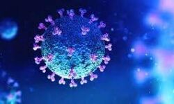 เดฎเดฒเดชเตเดชเตเดฑเด เดเดฟเดฒเตเดฒเดฏเดฟเดฒเตโ 1,779 เดชเตเดฐเตโเดเตเดเต เดเตเดตเดฟเดกเต; 2,244 เดชเตเดฐเตโเดเตเดเต เดฐเตเดเดฎเตเดเตเดคเดฟ; เดเตเดธเตเดฑเตเดฑเต เดชเตเดธเดฟเดฑเตเดฑเตเดตเดฟเดฑเตเดฑเดฟ เดจเดฟเดฐเดเตเดเต 12.99 เดฎเดฒเดชเตเดชเตเดฑเด เดเดฟเดฒเตเดฒเดฏเดฟเดฒเตโ 1,779 เดชเตเดฐเตโเดเตเดเต เดเตเดตเดฟเดกเต; 2,244 เดชเตเดฐเตโเดเตเดเต เดฐเตเดเดฎเตเดเตเดคเดฟ; เดเตเดธเตเดฑเตเดฑเต เดชเตเดธเดฟเดฑเตเดฑเตเดตเดฟเดฑเตเดฑเดฟ เดจเดฟเดฐเดเตเดเต 12.99