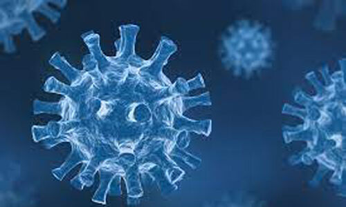 കൊല്ലം ജില്ലയില്‍ ഇന്ന് 886 പേര്‍ക്ക് കൊവിഡ്; 24 പേര്‍ മരിച്ചു