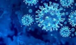 തൃശ്ശൂര്‍ ജില്ലയില്‍ 2,623 പേര്‍ക്ക് കൂടി കൊവിഡ്; 2,016 പേര്‍ രോഗമുക്തരായി