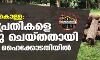മുട്ടില് മരം കൊള്ള: മൂന്നു പ്രതികളെ അറസ്റ്റു ചെയ്തതായി സര്ക്കാര് ഹൈക്കോടതിയില് മുട്ടില് മരം കൊള്ള: മൂന്നു പ്രതികളെ അറസ്റ്റു ചെയ്തതായി സര്ക്കാര് ഹൈക്കോടതിയില്