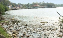 പരിസ്ഥിതി മലിനീകരണം; മനുഷ്യാവകാശ കമ്മീഷന്‍ നാളെ അഷ്ടമുടിക്കായല്‍ സന്ദര്‍ശിക്കും