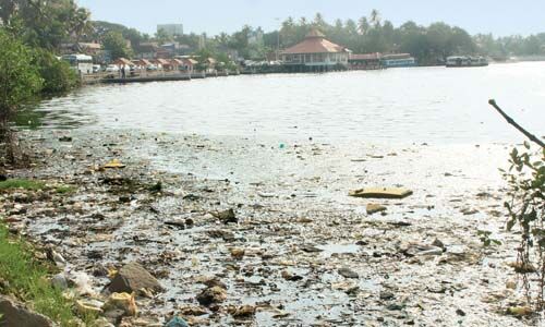 പരിസ്ഥിതി മലിനീകരണം; മനുഷ്യാവകാശ കമ്മീഷന്‍ നാളെ അഷ്ടമുടിക്കായല്‍ സന്ദര്‍ശിക്കും
