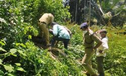 മുട്ടില്‍ മരം കൊള്ളക്കേസ്: അറസ്റ്റിലായ പ്രതികളെ ഇന്ന് ബത്തേരി കോടതിയില്‍ ഹാജരാക്കും