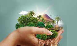 ഏകോപിത നവകേരളം: കര്മ്മപദ്ധതി 2 നടപ്പാക്കാന് മന്ത്രിസഭാ യോഗത്തില് തീരുമാനം ഏകോപിത നവകേരളം: കര്മ്മപദ്ധതി 2 നടപ്പാക്കാന് മന്ത്രിസഭാ യോഗത്തില് തീരുമാനം