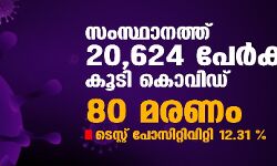 സംസ്ഥാനത്ത് ഇന്ന് 20,624 പേര്‍ക്ക് കൊവിഡ്;  ടെസ്റ്റ് പോസിറ്റിവിറ്റി നിരക്ക് 12.31; മരണം 80