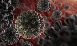 കോഴിക്കോട് ജില്ലയില്‍ 2113 പേര്‍ക്ക് കൊവിഡ്; രോഗമുക്തി 1686 , ടി.പി.ആര്‍ 14.28%