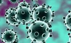 ഇടുക്കി ജില്ലയില്‍ 375 പേര്‍ക്ക് കൂടി കോവിഡ്; 325 പേര്‍ക്ക് രോഗമുക്തി, ടിപിആര്‍ 8.99%