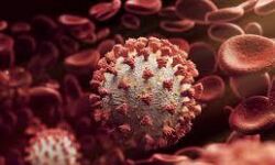 เดเตเดตเดฟเดกเต 19: เดฎเดฒเดชเตเดชเตเดฑเด เดเดฟเดฒเตเดฒเดฏเดฟเดฒเตโ 3,474 เดชเตเดฐเตโเดเตเดเต เดตเตเดฑเดธเต เดฌเดพเดง; เดเตเดธเตเดฑเตเดฑเต เดชเตเดธเดฟเดฑเตเดฑเตเดตเดฟเดฑเตเดฑเดฟ เดจเดฟเดฐเดเตเดเต 15.68, 2,655 เดชเตเดฐเตโเดเตเดเต เดฐเตเดเดฎเตเดเตเดคเดฟ เดเตเดตเดฟเดกเต 19: เดฎเดฒเดชเตเดชเตเดฑเด เดเดฟเดฒเตเดฒเดฏเดฟเดฒเตโ 3,474 เดชเตเดฐเตโเดเตเดเต เดตเตเดฑเดธเต เดฌเดพเดง; เดเตเดธเตเดฑเตเดฑเต เดชเตเดธเดฟเดฑเตเดฑเตเดตเดฟเดฑเตเดฑเดฟ เดจเดฟเดฐเดเตเดเต 15.68, 2,655 เดชเตเดฐเตโเดเตเดเต เดฐเตเดเดฎเตเดเตเดคเดฟ