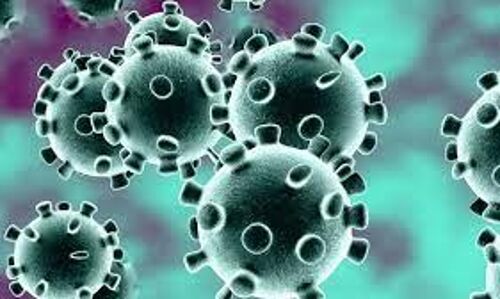 ഇടുക്കി ജില്ലയില് 375 പേര്ക്ക് കൂടി കോവിഡ്; 325 പേര്ക്ക് രോഗമുക്തി, ടിപിആര് 8.99% ഇടുക്കി ജില്ലയില് 375 പേര്ക്ക് കൂടി കോവിഡ്; 325 പേര്ക്ക് രോഗമുക്തി, ടിപിആര് 8.99%