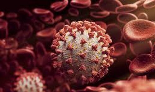 കൊവിഡ് 19: മലപ്പുറം ജില്ലയില്‍ 3,474 പേര്‍ക്ക് വൈറസ് ബാധ; ടെസ്റ്റ് പോസിറ്റീവിറ്റി നിരക്ക് 15.68, 2,655 പേര്‍ക്ക് രോഗമുക്തി