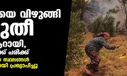 തുര്‍ക്കിയെ വിഴുങ്ങി കാട്ടുതീ, മരണം ആറായി, നിരവധി പേര്‍ക്ക് പരിക്ക്; നാശനഷ്ടമുണ്ടായ സ്ഥലങ്ങള്‍ ദുരന്തമേഖലകളായി പ്രഖ്യാപിച്ചു