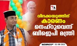വിലക്കയറ്റത്തിന് കാരണം 1947ലെ പ്രസംഗം; നെഹ്‌റുവിനെ പഴിചാരി ബിജെപി മന്ത്രി