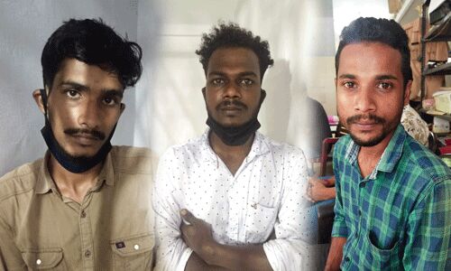 ജാതിക്ക മോഷണം; മാളയില് മൂന്ന് യുവാക്കള് അറസ്റ്റില് ജാതിക്ക മോഷണം; മാളയില് മൂന്ന് യുവാക്കള് അറസ്റ്റില്