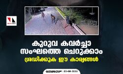 കുറുവ കവര്‍ച്ചാ സംഘത്തെ ചെറുക്കാം; ശ്രദ്ധിക്കുക ഈ കാര്യങ്ങള്‍