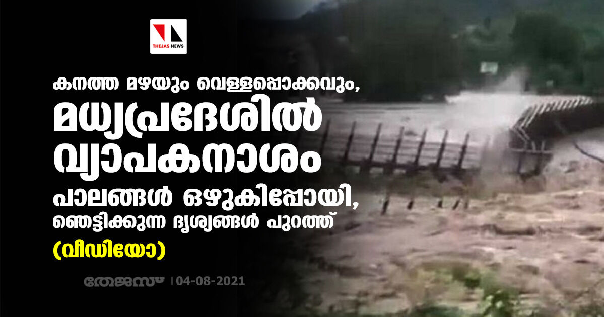 കനത്ത മഴയും വെള്ളപ്പൊക്കവും, മധ്യപ്രദേശില്‍ വ്യാപകനാശം; പാലങ്ങള്‍ ഒഴുകിപ്പോയി, ഞെട്ടിക്കുന്ന ദൃശ്യങ്ങള്‍ പുറത്ത്