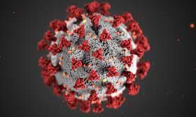 കോഴിക്കോട് ജില്ലയില്‍ ഇന്ന് 2502 പേര്‍ക്ക് കൊവിഡ്; രോഗമുക്തി 2244, ടി.പി.ആര്‍ 14.58%