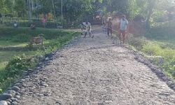 ലോവ്ലിനയുടെ വീട്ടിലേക്ക് പുതിയ റോഡ്; വീട്ടിലെത്തും മുന്പ് പൂര്ത്തിയാക്കുമെന്ന് ഉറപ്പ് ലോവ്ലിനയുടെ വീട്ടിലേക്ക് പുതിയ റോഡ്; വീട്ടിലെത്തും മുന്പ് പൂര്ത്തിയാക്കുമെന്ന് ഉറപ്പ്