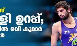 ഒളിംപിക്‌സ്; വെള്ളി ഉറപ്പ്; ഗുസ്തിയില്‍ രവി കുമാര്‍ ഫൈനലില്‍