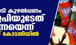 41.4 കോടി കുഴൽപ്പണം ബിജെപിയുടേത് തന്നെയെന്ന് പോലിസ് കോടതിയിൽ 41.4 കോടി കുഴൽപ്പണം ബിജെപിയുടേത് തന്നെയെന്ന് പോലിസ് കോടതിയിൽ