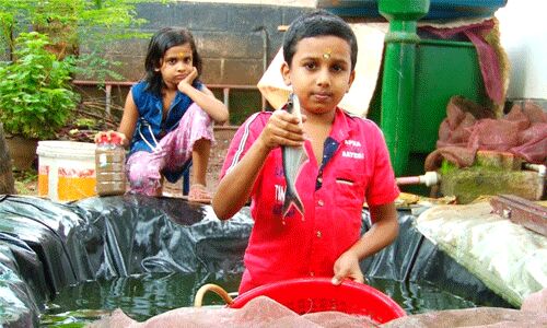 മത്സ്യകൃഷിയില്‍ നൂറുമേനി വിളവ് കൊയ്ത് ഏഴാംക്ലാസ് വിദ്യാര്‍ഥി