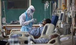 വയനാട് ജില്ലയില്‍ 676 പേര്‍ക്ക് കൂടി കോവിഡ്; ടെസ്റ്റ് പോസിറ്റിവിറ്റി റേറ്റ് 17.89