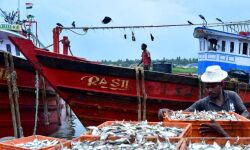 പുതിയ മത്സ്യബന്ധന നിയമം അതേപടി പാസ്സാക്കരുതെന്ന് പി സി തോമസ്
