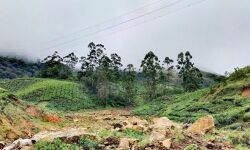 പെട്ടിമുടി ദുരന്തത്തിന് ഒരാണ്ട്