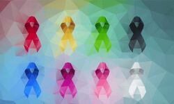 കോഴിക്കോട് ജില്ലയില്‍ സമ്പൂര്‍ണ കാന്‍സര്‍ പരിചരണ പദ്ധതിക്ക് തുടക്കം