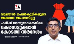 വാളയാര്‍ പെണ്‍കുട്ടികളുടെ അമ്മയെ അപമാനിച്ചു; ഹരീഷ് വാസുദേവനെതിരേ കേസെടുക്കാന്‍ കോടതി നിര്‍ദേശം