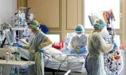 പാലക്കാട് ജില്ലയില്‍ ഇന്ന് 2031 പേര്‍ക്ക് കൊവിഡ്;  ടെസ്റ്റ് പോസിറ്റിവിറ്റി നിരക്ക് 19.32