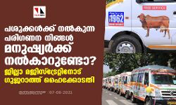 പശുക്കള്‍ക്ക് നല്‍കുന്ന പരിഗണന നിങ്ങള്‍ മനുഷ്യര്‍ക്ക് നല്‍കാറുണ്ടോ? ജില്ലാ മജിസ്‌ട്രേറ്റിനോട് ഗുജറാത്ത് ഹൈക്കോടതി