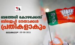 เดฌเดคเตเดคเตเดฐเดฟ เดเตเดดเดเตเดเตเดธเตโ; เดฌเดฟเดเตเดชเดฟ เดจเตเดคเดพเดเตเดเตพ เดชเตเดฐเดคเดฟเดเดณเดพเดเตเด เดฌเดคเตเดคเตเดฐเดฟ เดเตเดดเดเตเดเตเดธเตโ; เดฌเดฟเดเตเดชเดฟ เดจเตเดคเดพเดเตเดเตพ เดชเตเดฐเดคเดฟเดเดณเดพเดเตเด