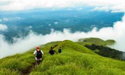 വയനാട്ടിലെ വിനോദസഞ്ചാര കേന്ദ്രങ്ങള്‍ നാളെ മുതല്‍ പ്രവര്‍ത്തിക്കും