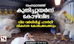 സംസ്ഥാനത്ത് കുതിച്ചുയര്‍ന്ന് കോഴിവില; വില വര്‍ധിപ്പിച്ച് പൗള്‍ട്രീ വികസന കോര്‍പറേഷനും
